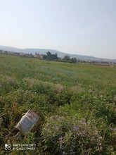 Αγροτεμάχια 8.000τ.μ. για πώληση-Θέρμη » Νέα ραιδεστός