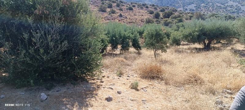 Αγροτεμάχια 4.250 τ.μ. πρός πώληση, Ν. Λασιθίου, Ιεράπετρα