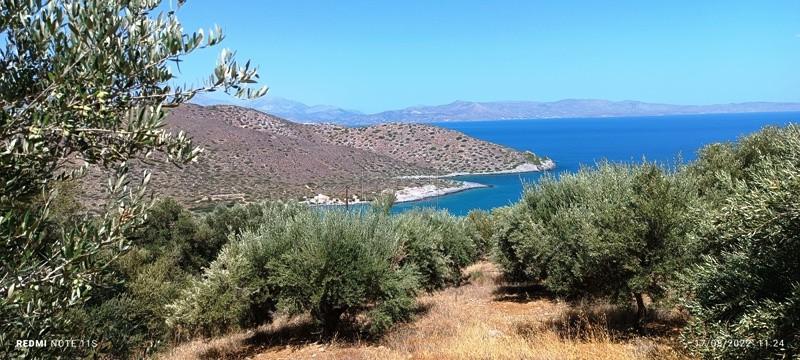 Αγροτεμάχια 4.250 τ.μ. πρός πώληση, Ν. Λασιθίου, Ιεράπετρα