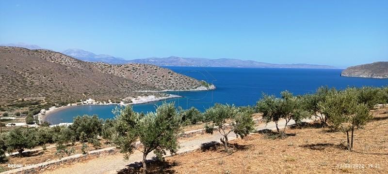 Αγροτεμάχια 4.250 τ.μ. πρός πώληση, Ν. Λασιθίου, Ιεράπετρα