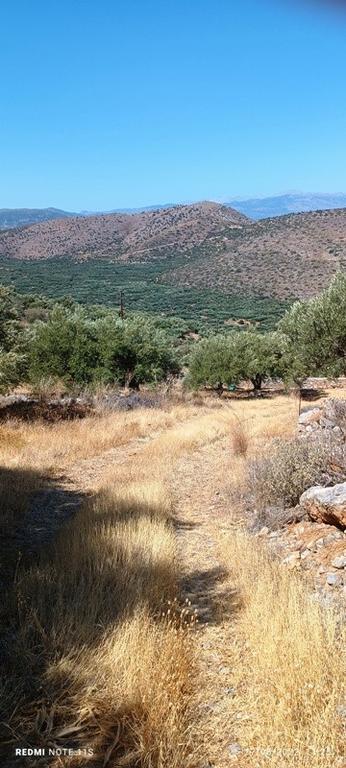 Αγροτεμάχια 4.250 τ.μ. πρός πώληση, Ν. Λασιθίου, Ιεράπετρα