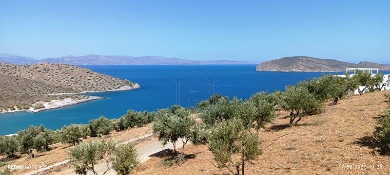Αγροτεμάχια 4.250 τ.μ. πρός πώληση, Ν. Λασιθίου, Ιεράπετρα
