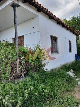 Μονοκατοικία 90τ.μ. για πώληση-Σοχός » Κέντρο