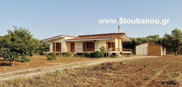 Μονοκατοικία 125 τ.μ. για πώληση, Ν. Ηλείας, Αμαλιάδα