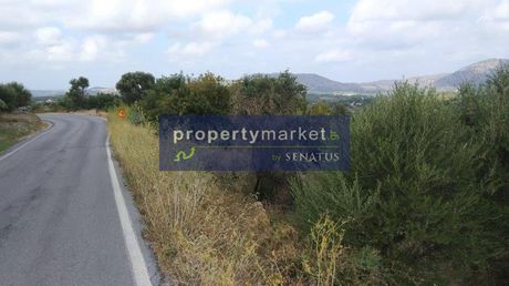 Αγροτεμάχια 750τ.μ. για πώληση-Κουλουκώνας » Δαμαβόλος