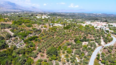 Land plot 11.715sqm for sale-Nikiforos Fokas » Agios Konstantinos