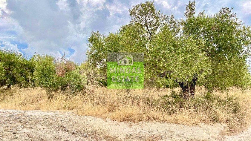 Land plot 4.501sqm for sale-Kissamos » Kallergiana