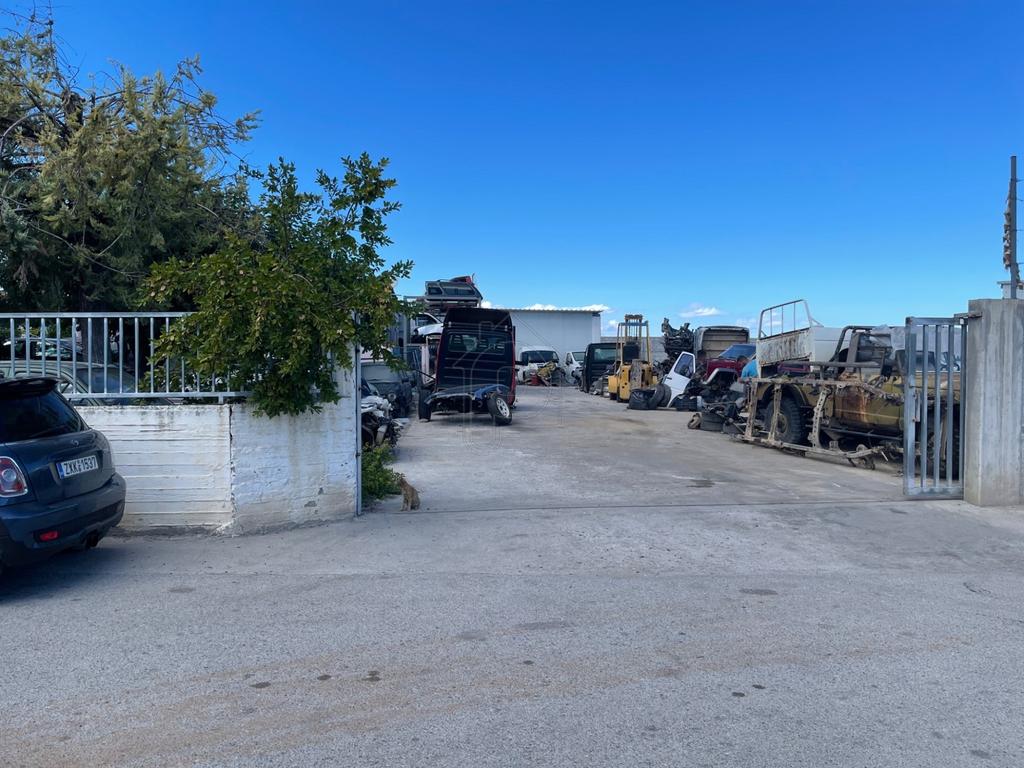 Αποθήκη 2.000 τ.μ. προς πώληση, Λιβανάτες