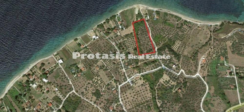 Αγροτεμάχια 5.516 τ.μ. προς πώληση, Αγιόκαμπος Αιδηψού