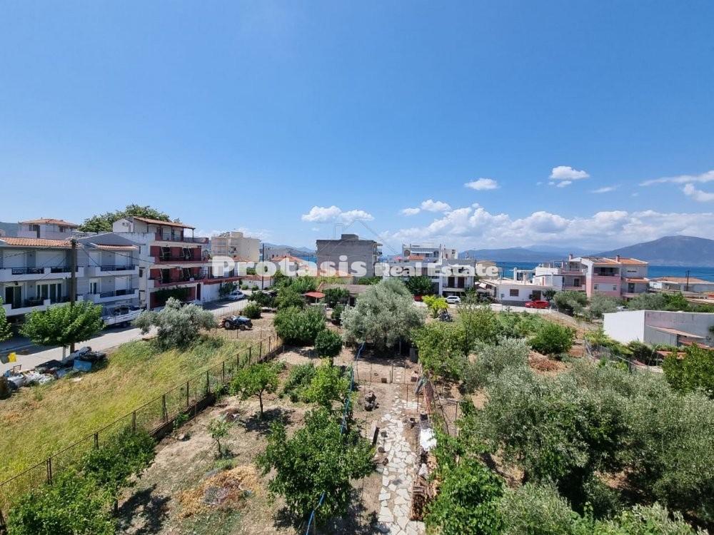 Μονοκατοικία 216,07 τ.μ. προς πώληση, Ωρεοί