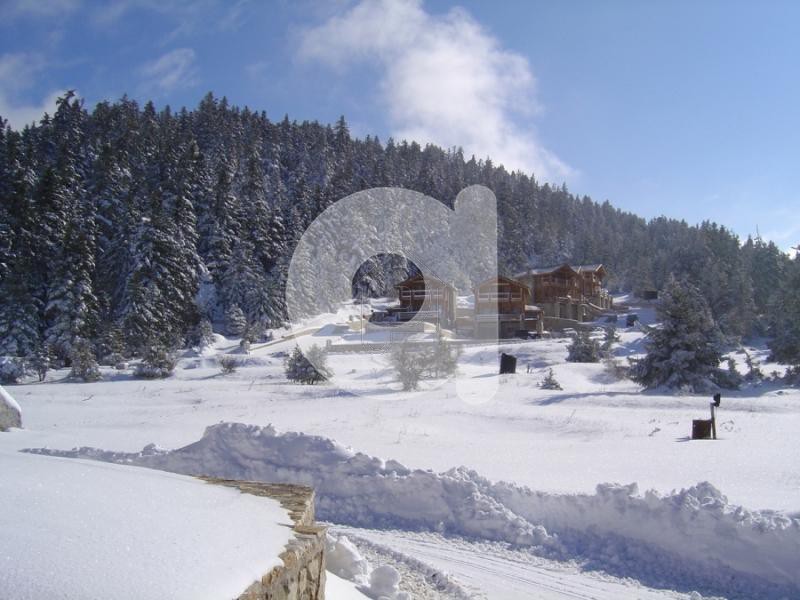 Maisonette 350sqm for rent-Arachova » Arachova