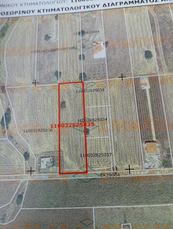 Αγροτεμάχια 2.800 τ.μ. πρός πώληση, Εβρος, Αλεξανδρούπολη