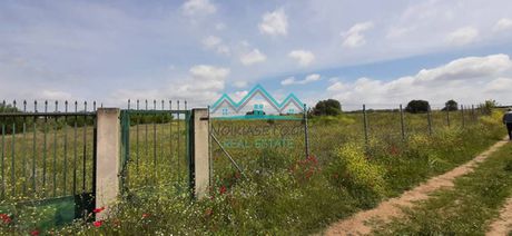 Parcel 10.000sqm for sale-Thermi » Kato Scholari