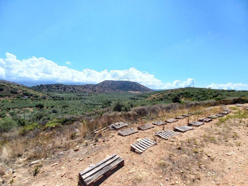 Parcel 5.500 sqm for sale, Exantis