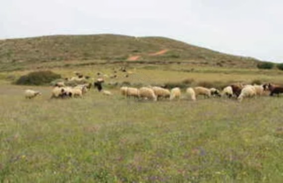 Parcel 108.000sqm for sale-Milos » Areti