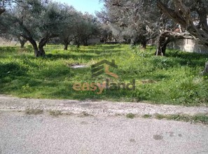Land plot 1.100sqm for sale-Rio » Kato Arachovitika