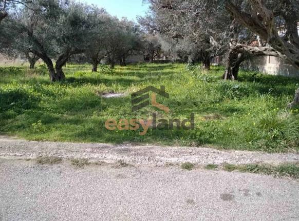Οικόπεδο 1.100 τ.μ. για πώληση, Αχαΐα, Ρίο