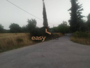 Land plot 25.000sqm for sale-Fares » Platanovrisi