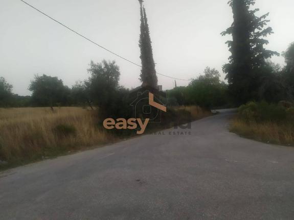 Οικόπεδο 25.000 τ.μ. για πώληση, Αχαΐα, Φαρές
