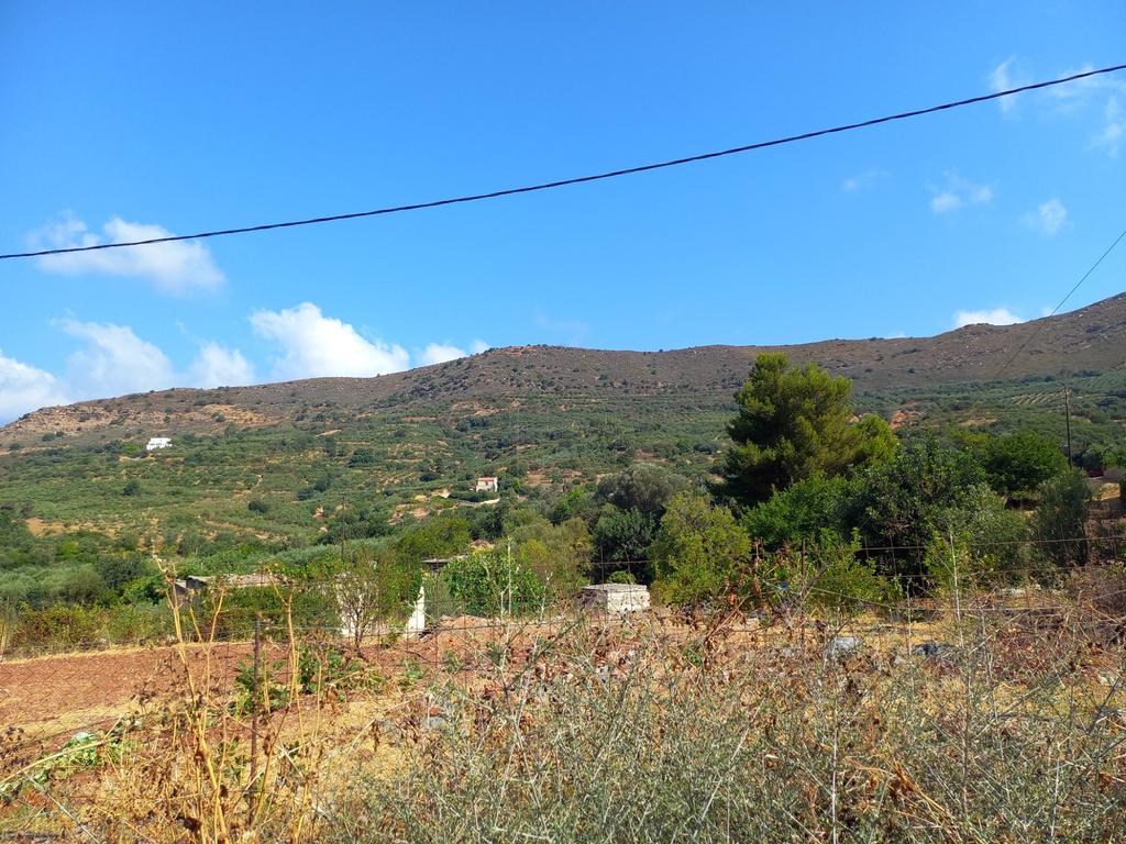 Οικόπεδο 687 τ.μ. πρός πώληση, Ν. Ρεθύμνου, Γεροπόταμος