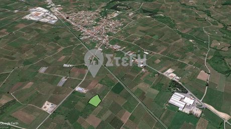 Αγροτεμάχια 6.000τ.μ. για πώληση-Ανθεμιά » Κοπανός