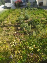 Land plot 200sqm for sale-Patra » Girokomio