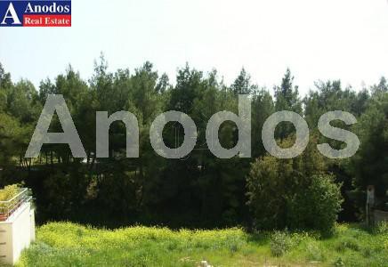 Οικόπεδο 551τ.μ. για πώληση-Κρυονέρι » Κέντρο