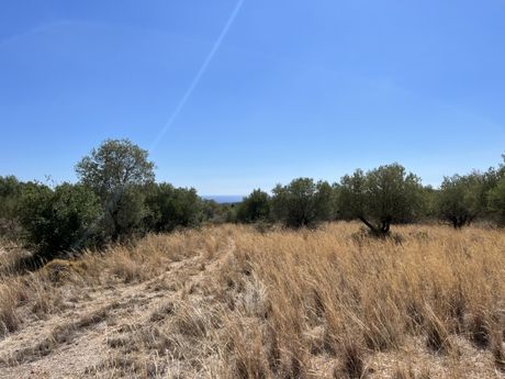 Parcel 3.886sqm for sale-Kefalonia » Leivatho