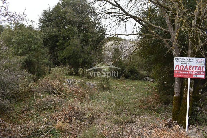 Other 2.300sqm for sale-Ioannina