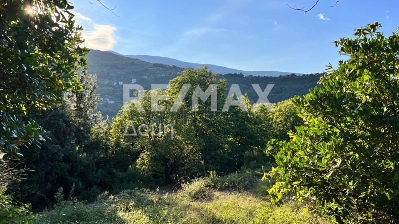 Αγροτεμάχια 5.397τ.μ. για πώληση-Μούρεσι » Ανήλιο