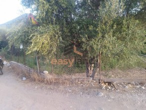 Parcel 2.700sqm for sale-Messatida » Demenika