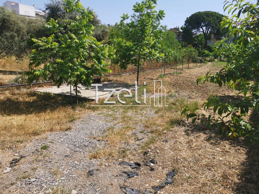 Οικόπεδο 2.300τ.μ. για πώληση-Μεσσατίδα » Οβριά