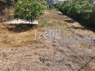 Οικόπεδο 2.300 τ.μ. για πώληση, Αχαΐα, Μεσσατίδα-thumb-1