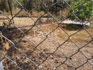 Οικόπεδο 2.300 τ.μ. για πώληση, Αχαΐα, Μεσσατίδα-thumb-3