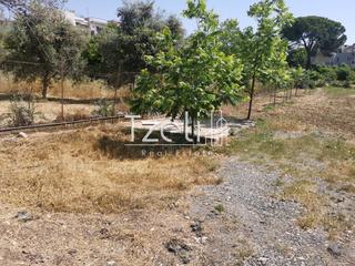Οικόπεδο 2.300 τ.μ. για πώληση, Αχαΐα, Μεσσατίδα-thumb-4