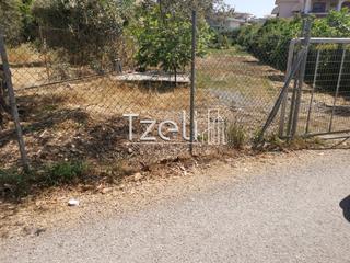 Οικόπεδο 2.300 τ.μ. για πώληση, Αχαΐα, Μεσσατίδα-thumb-5