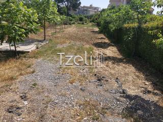 Οικόπεδο 2.300 τ.μ. για πώληση, Αχαΐα, Μεσσατίδα-thumb-7