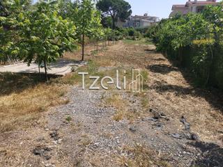 Οικόπεδο 2.300 τ.μ. για πώληση, Αχαΐα, Μεσσατίδα-thumb-12
