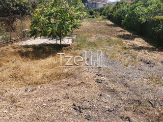 Οικόπεδο 2.300 τ.μ. για πώληση, Αχαΐα, Μεσσατίδα-thumb-14