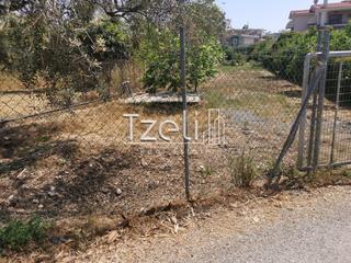 Οικόπεδο 2.300 τ.μ. για πώληση, Αχαΐα, Μεσσατίδα-thumb-16