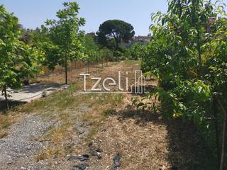 Οικόπεδο 2.300 τ.μ. για πώληση, Αχαΐα, Μεσσατίδα-thumb-17