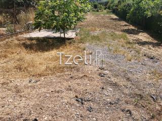 Οικόπεδο 2.300 τ.μ. για πώληση, Αχαΐα, Μεσσατίδα-thumb-18