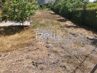 Οικόπεδο 2.300 τ.μ. για πώληση, Αχαΐα, Μεσσατίδα-thumb-19
