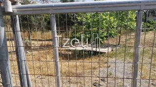 Οικόπεδο 2.300 τ.μ. για πώληση, Αχαΐα, Μεσσατίδα-thumb-21