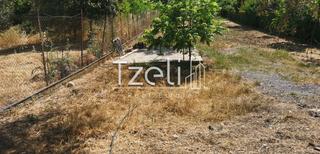 Οικόπεδο 2.300 τ.μ. για πώληση, Αχαΐα, Μεσσατίδα-thumb-22