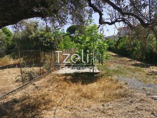 Οικόπεδο 2.300 τ.μ. για πώληση, Αχαΐα, Μεσσατίδα-thumb-23