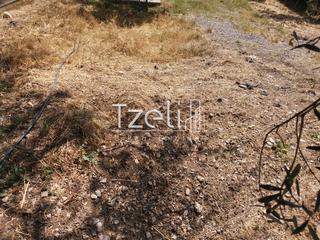 Οικόπεδο 2.300 τ.μ. για πώληση, Αχαΐα, Μεσσατίδα-thumb-24