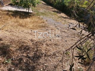 Οικόπεδο 2.300 τ.μ. για πώληση, Αχαΐα, Μεσσατίδα-thumb-25