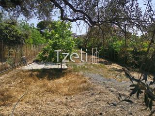 Οικόπεδο 2.300 τ.μ. για πώληση, Αχαΐα, Μεσσατίδα-thumb-26