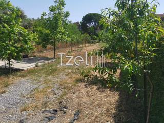 Οικόπεδο 2.300 τ.μ. για πώληση, Αχαΐα, Μεσσατίδα-thumb-27